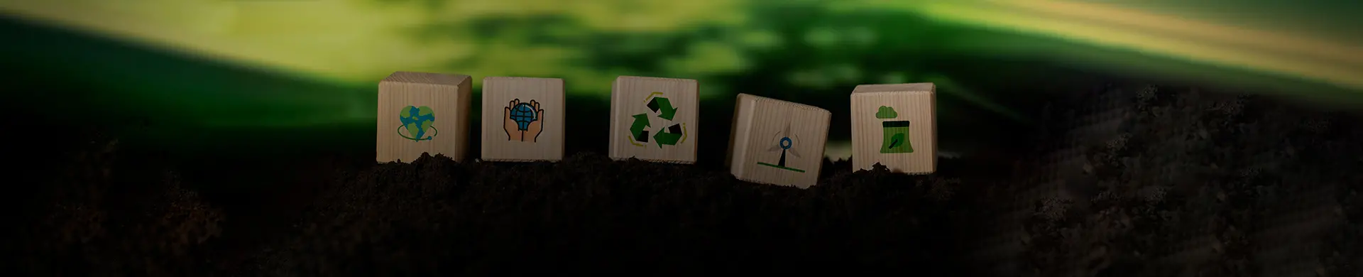 about-us-872334-1770702764